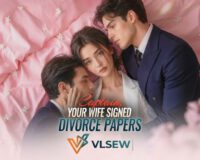 Captain, Your Wife Signed Divorce Papers