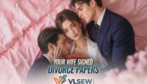 Captain, Your Wife Signed Divorce Papers